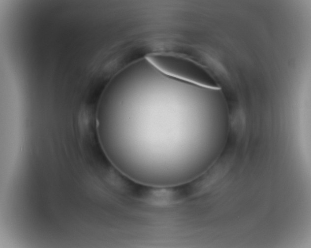 X0000113540233200910021356