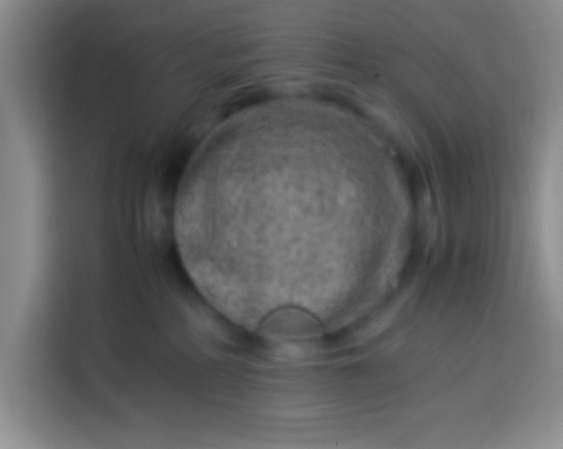 X0000113540234200910021356