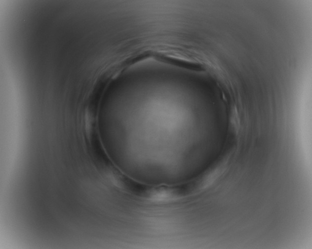 X0000113540235200910021356