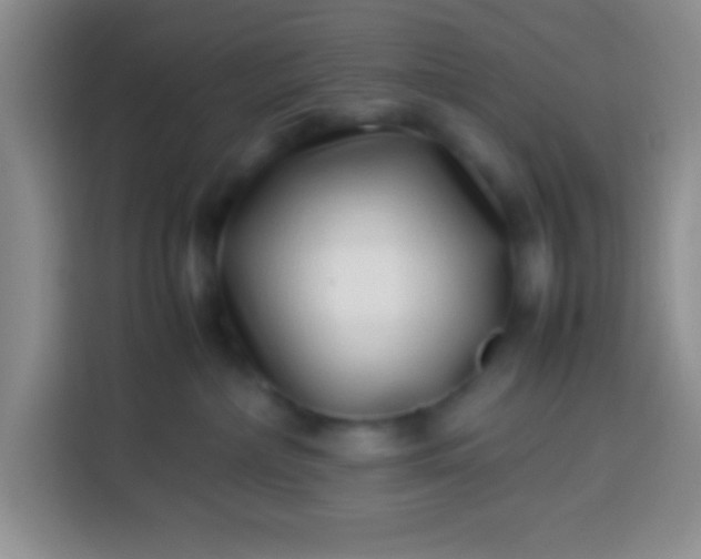 X0000113540236200910021356