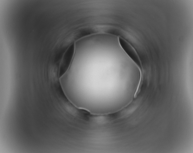 X0000113540237200910021356