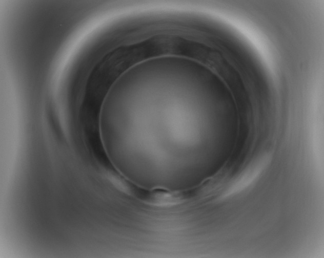 X0000113540239200910021356