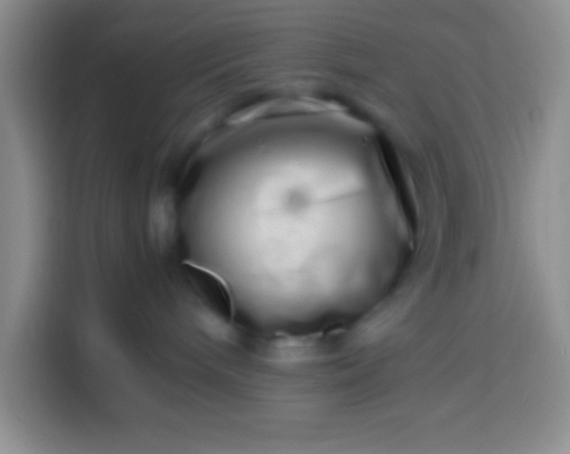 X0000113540240200910021356