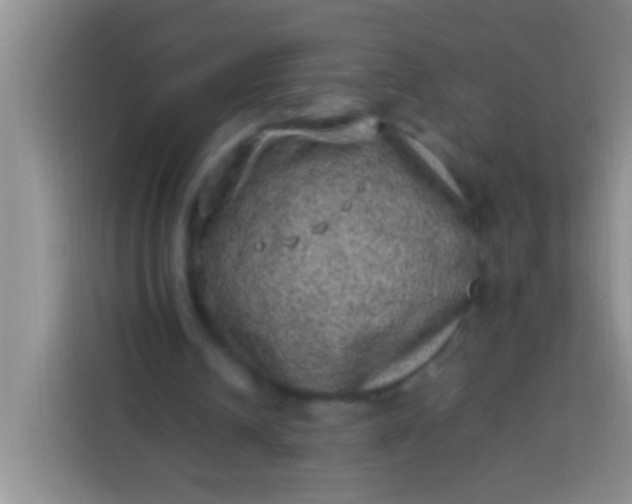 X0000113540242200910021355