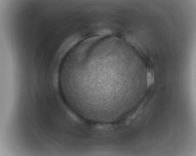 X0000113540243200910021355