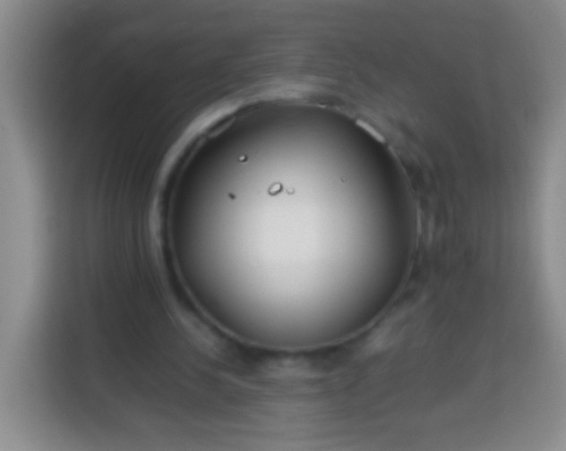 X0000113540244200910021355