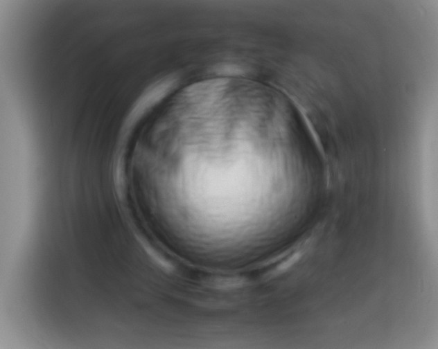 X0000113540245200910021355