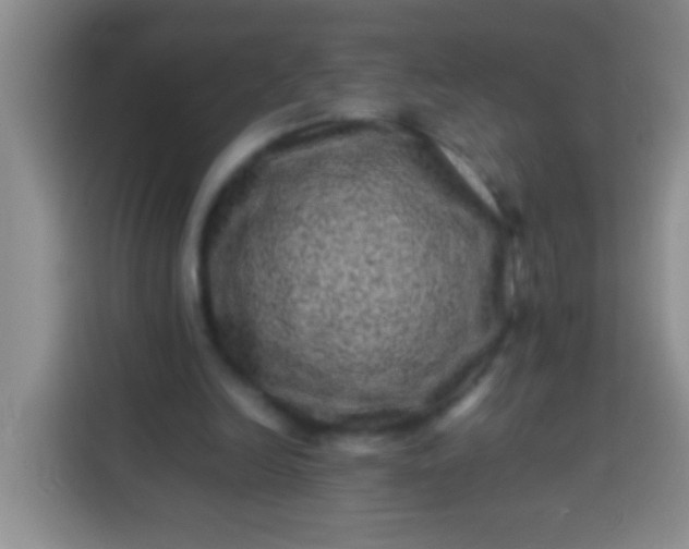 X0000113540246200910021355