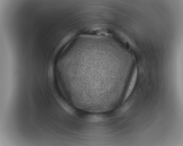 X0000113540250200910021355