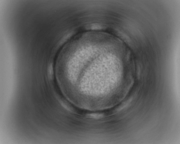 X0000113540251200910021355