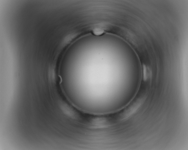 X0000113540252200910021355