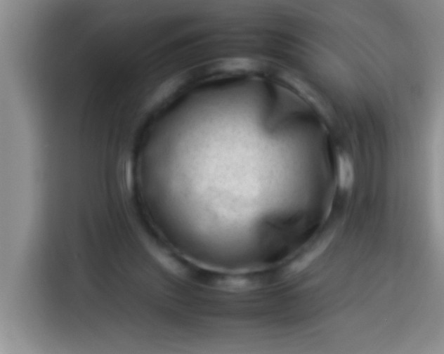 X0000113540253200910021355