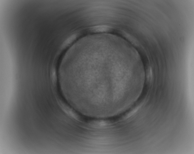 X0000113540254200910021355