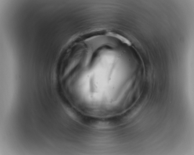 X0000113540256200910021355