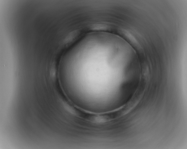 X0000113540261200910021355