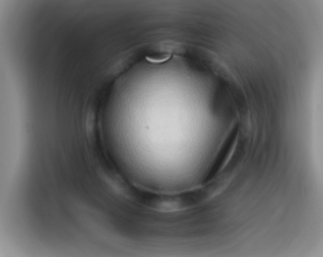 X0000113540263200910021355