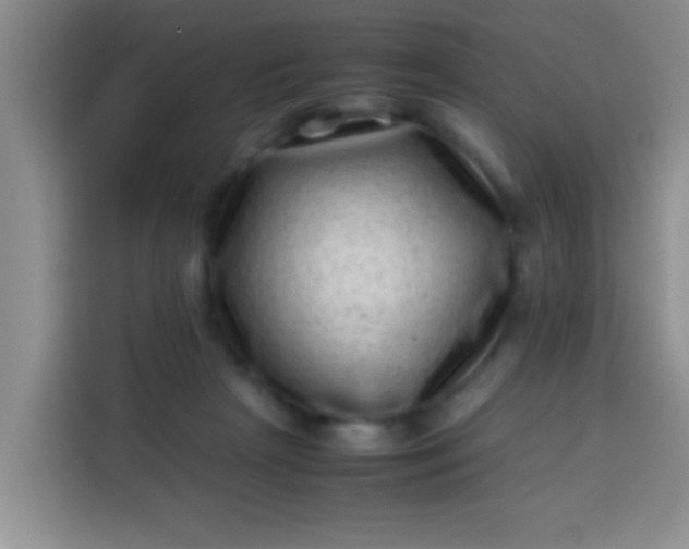 X0000113540265200910021355