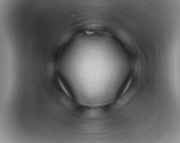 X0000113540278200910021355