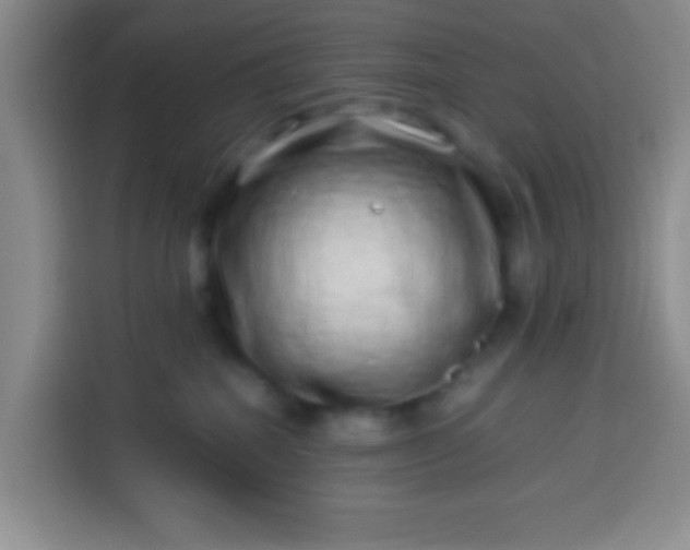 X0000113540282200910021355