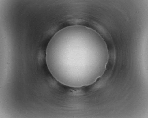 X0000113540284200910021355