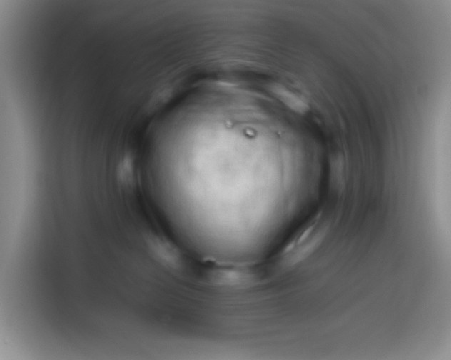 X0000113540286200910021356