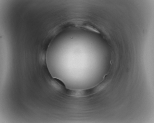 X0000113540288200910021356