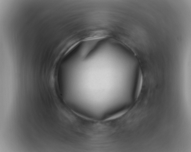 X0000113540290200910021355