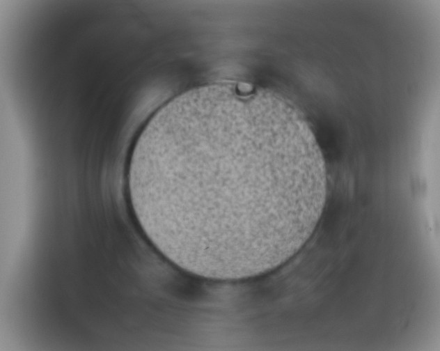 X0000113540293200910021355