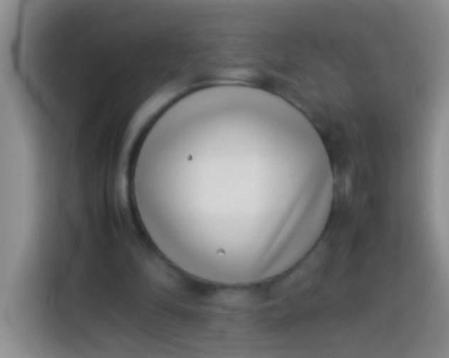 X0000113540294200910021355