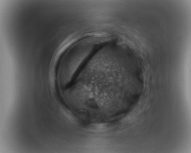 X0000113540295200910021355