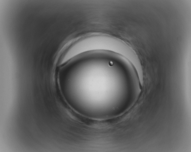 X0000113540296200910021355