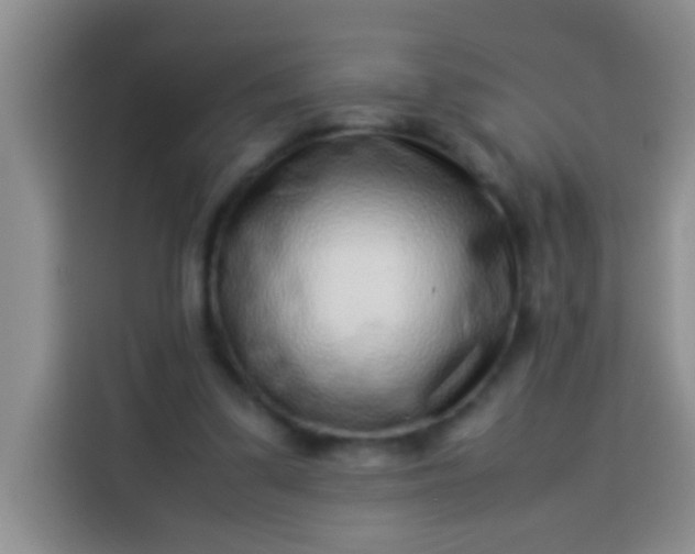 X0000113540299200910021355