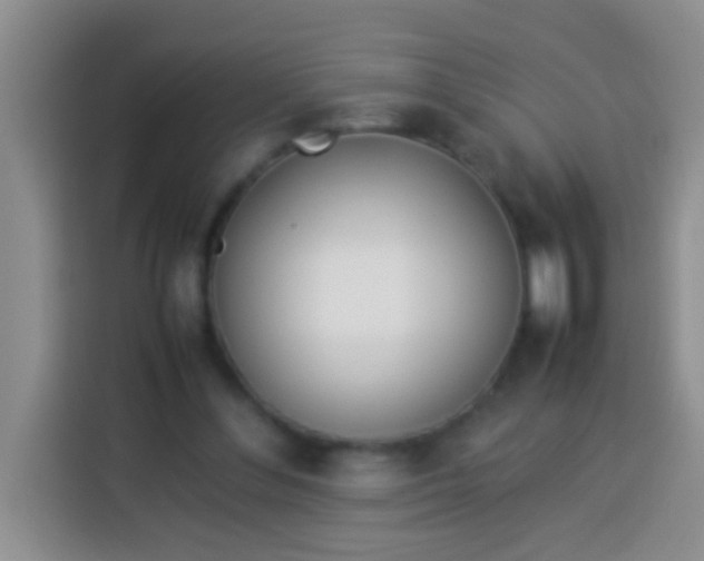 X0000113540300200910021355