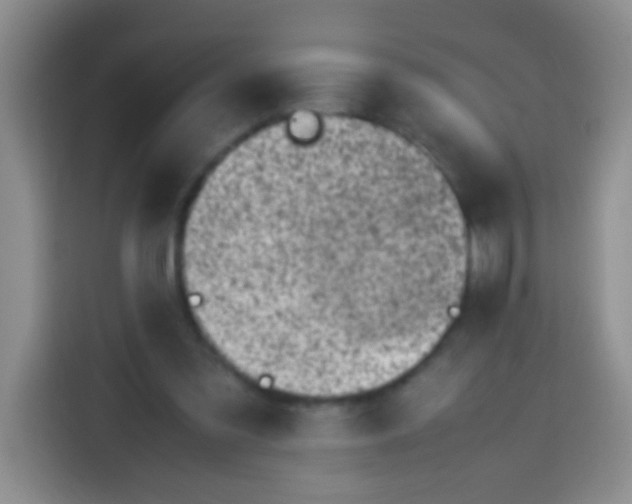 X0000113540301200910021355