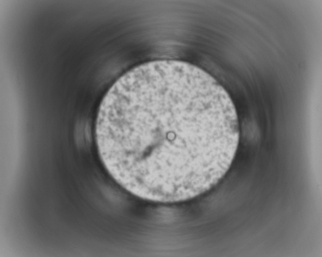 X0000113540302200910021355