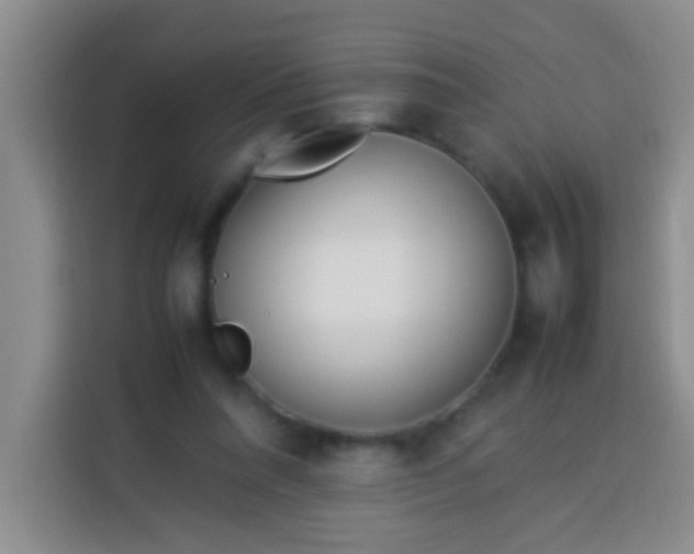 X0000113540304200910021355