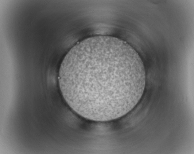 X0000113540305200910021355