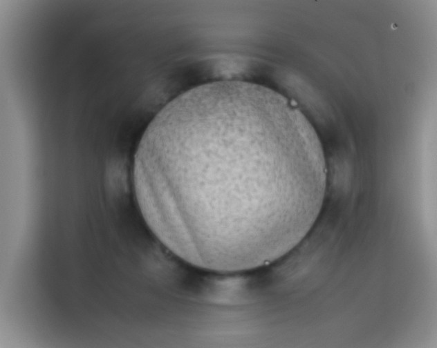 X0000113540313200910021355