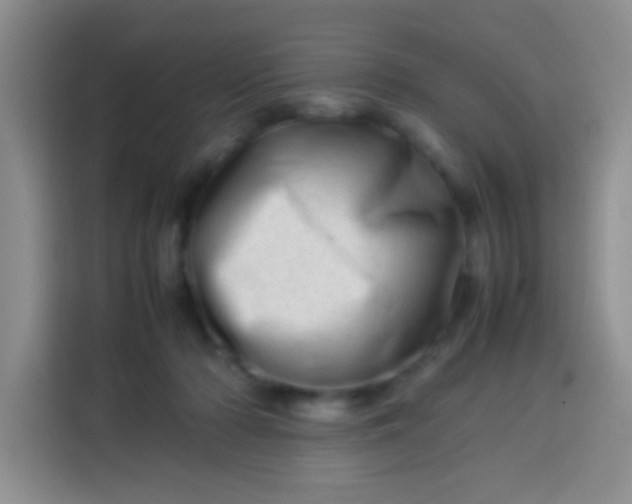 X0000113540318200910021355