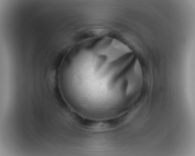 X0000113540319200910021355