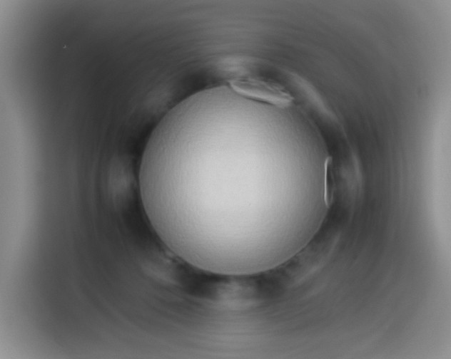 X0000113540320200910021355