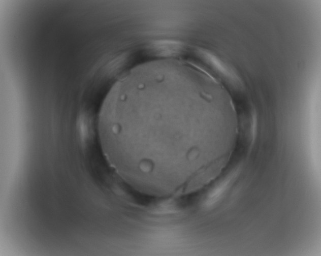 X0000113540325200910021354