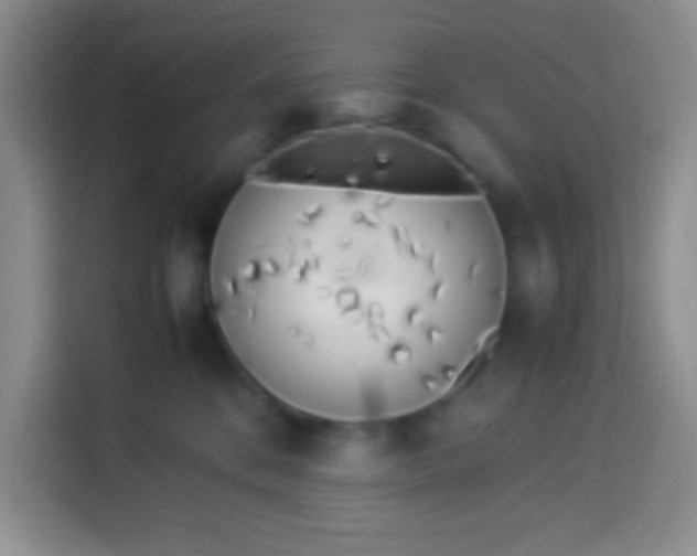 X0000113540328200910021354