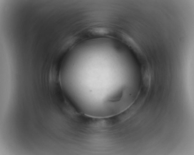 X0000113540330200910021354