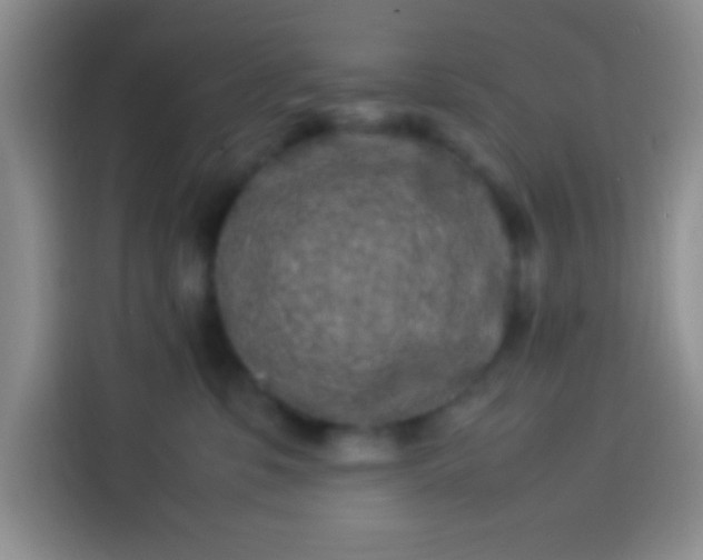 X0000113540331200910021354