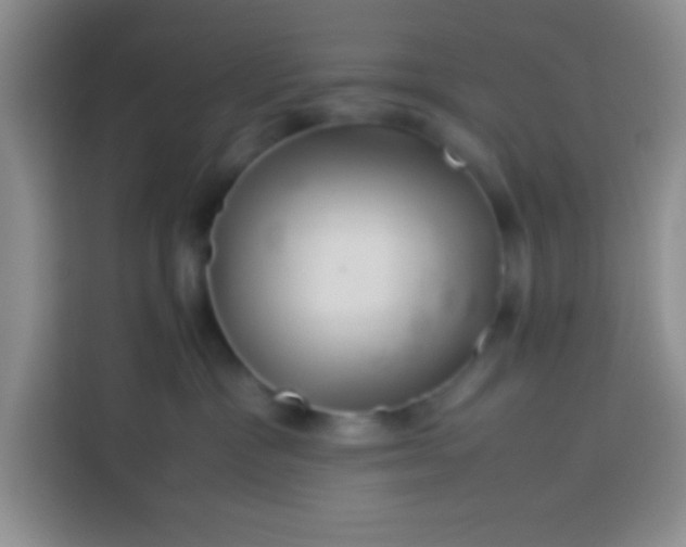 X0000113540333200910021354