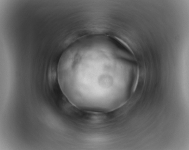 X0000113540334200910021354