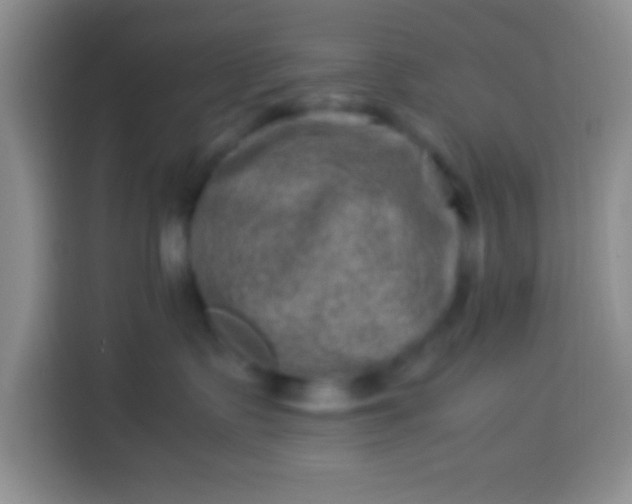 X0000113540335200910021354