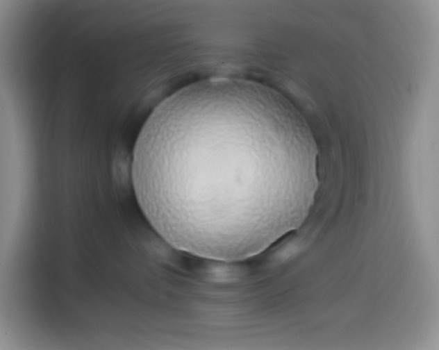 X0000113540336200910021354