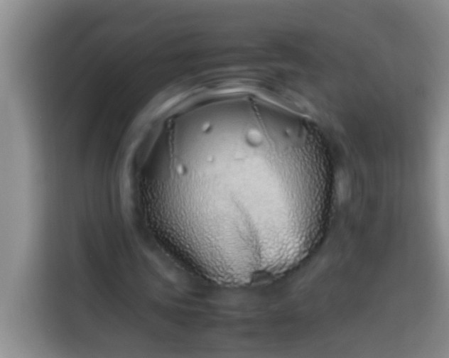 X0000113540339200910021354